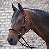 LINDA TELLINGTON JONES Lindel Warmblut, braun