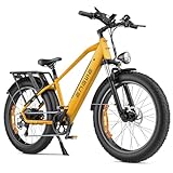 ENGWE E Bike Mountainbike Elektrofahrräder, Ebike 48V 16Ah Akku bis 150km, E-Bike mit 26x4 Zoll Fat Tire, Electric Bike 250W Motor Max. 25km/h, E26