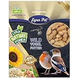 Lyra Pet® | 10 kg Erdnusskerne in Schoten | Wildvogelfutter Ganzjährig | Naturbelassene Erdnüsse in Schale | Reich an Fetten & Ballaststoffen | Energiereiches Futter für Wildvögel & andere Wildtiere