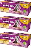 Whiskas Junior Geflügel Auswahl in Gelee, 120 Portionsbeutel à 85g (3-er Pack) – Hochwertiges Katzenfutter nass, für heranwachsende Katzen