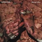 Phantom Limb [Vinyl LP]