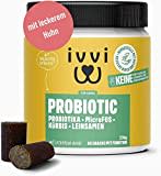 ivvi PROBIOTIC Hunde Probiotika als Leckerli - Hund Darmflora aufbauen, verbesserte Verdauung & Immunsystem - 60 leckere Snacks (270g) mit Huhn