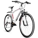 Bergsteiger Denver 26 Zoll Mountainbike, geeignet ab 155 cm, 18 Gang-Schaltung, Licht, Schutzblech, Gabel-Federung