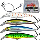 Paradox Fishing Premium Zander Wobbler Set I 4 Stück 13g 11cm mit Box I Hecht Köder Zander Köder Barsch Köder