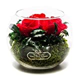 Rosen-Te-Amo |Konservierte Blumen-Arrangement, duftend, rot handgemacht mit echten Foliage Geburtstagsgeschenk für Frauen, Rosen Geschenke für Mama Blume zum Weihnachten, Valentinstag, Muttertag