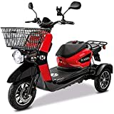 Rolektro E-Carrier 25 Lithium Dreirad-Mobil - 1000W Elektromobil - E-Moped bis 70km RW - 3-Rad Seniorenmobil mit Zulassung