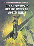 Il-2 Shturmovik Guard Units of World War 2 (Osprey Combat Aircraft, 71, Band 71)