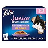 FELIX So gut wie es aussieht Junior Kittenfutter nass in Gelee, Sorten-Mix, 6er Pack (6 x 12 Beutel à 85g)