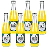 6x Balis Tiki - Ananas Minz Drink (6x0,25l)