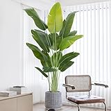 Keeplush Künstliche Paradiesvogel Pflanze groß 200cm künstliche Tropische Palme mit 15 Blättern perfekte künstliche Pflanzen im Topf für drinnen und draußen Haus Büro Garten Moderne Dekoration（1 Pack）