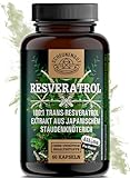 Resveratrol -1000mg je Tagesdosis- WICHTIG: 100:1 Extrakt (=100000mg jap. Staudenknöterich Wurzel) +Piperin I 98% Trans-Resveratrol Hochdosiert I Laborgeprüft -DE- SCHEUNENGUT®