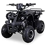 Original Actionbikes Motors Kinder Quad S-8 Farmer | 4-Takt 125 cc 7 kW Benzinmotor - Not-Aus-Leine- Miniquad - Bis zu 50 km/h - Daumengas drosselbar - Automatikgetriebe (Schwarz)