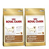 Royal Canin Hundefutter für ausgewachsene Hunde, für Labrador, Retriever, 2 x 12 kg