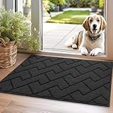 Biscpro Fußmatte Dunkelgrau 50x80cm Innen und Außen, Waschbar Fussmatt, Wasserdicht Türmatte, Rutschfester Schmutzfänger Teppich für Eingang, Haustür, Patio, Flur, Garten