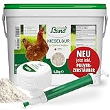 HÜHNER Land Kieselgur für Hühner 4,2kg INKLUSIVE Profi Zerstäuber - Reines Kieselgur Hühner Pulver, Kieselerde Pulver, Naturprodukt für Hühnerstall, Laborgeprüft für Geflügel Betriebe