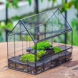 NCYP 24x14x20,6cm Glas Terrarium mit Frontöffnung, Geometrisches Pflanzgefäß, Hausform, Vintage-Gewächshaus, Geschlossene Mikro Landschaftsbox für kleine Sukkulenten Luftpflanzen (Nur Terrarium)