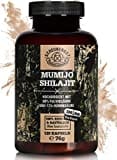 Shilajit -Das Original- WICHTIG: 10000mg Shilajit verarbeitet pro Dosis (10:1 Extrakt) +50% Fulvinsäure +12% Huminsäure -Shilajit Kapseln Hochdosiert- Laborgeprüft DE SCHEUNENGUT®