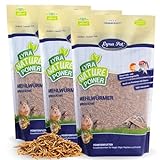 Lyra Pet® | 3 x 10 Liter Mehlwürmer getrocknet | Ausgezeichnete Proteinquelle für Vögel, Nager, Fische & Reptilien | Wildvogelfutter für Insektenfresser | Naturbelassenes Vogelfutter Ganzjährig