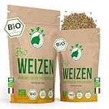 NanaNatura's Bio Weizen Sprossen Samen 180g | Keimfähige Weizensamen zur Sprossenzucht | Microgreens fürs Sprossenglas