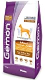 Gemon Maxi Puppy Junior 15kg