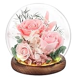 FAYODO Ewige Rose im Glas mit Licht, Konservierte Blumen als Geschenke für Frauen Mama Oma Freundin zum Geburtstag Weihnachten Valentinstag Muttertag Jahrestag Erntedankfest-Rosa