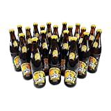 Brauerei Fürstlich Drehna Odin Trunk Schloßbräu (20 x 0.5 l 5,4% Vol. Alc.) inc. 1.60 EUR MEHRWEG Pfand