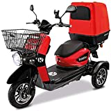 Rolektro E-Carrier 25 Lithium mit XXL Koffer Dreirad-Mobil - 1000W Elektromobil E-Moped bis 70km RW - 3-Rad Seniorenmobil mit Zulassung