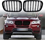 Gangying F25 Kühlergrille, Front Nierengitter für BMW X Serie X3 X4 F25 F26 Nieren 2010 2011 2012 2013 Glossy Black Doppelsteg Grille