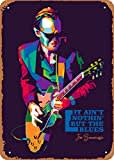 World Guitarist Joe Bonamassa Plakette Poster Metall Blechschild 20,3 x 30,5 cm Vintage Retro Wanddekoration