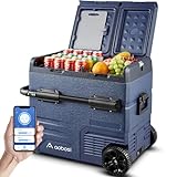 AAOBOSI Kompressor Kühlbox, Auto Kühlbox Mit USB-Anschluss, 55L Zwei Zonen und Doppeltüren, Elektrische Kühlbox bis -20 °C für Auto, Lkw, Boot, Reisemobil,Camping