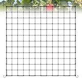 Sprifityy Wachsen Zelt Netz,Scrog Netz 120 x 120cm,Grow Netz mit 4 Haken,für Pflanzen, Gemüse,Obst,Elastische Spalier Netz,Passend für Garten,Balkone,Hof,Gartenarbeit