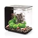 biOrb 72033 FLOW 30 LED, schwarz – elegantes Design-Aquarium | Komplett-Set mit Filter-System, LED-Beleuchtung, Boden-Kies und Luftausströmer aus widerstandsfähigem Acryl-Glas