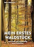 Mein erstes Waldstück: Naturnah und nachhaltig bewirtschaften