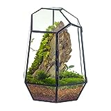 NCYP 25 cm Kleines Geometrisches Terrarium mit Tür, Schwarzer Unregelmäßiger Glas-Übertopf, Sukkulenten-Kakteen-Blumentopf, Heim-Garten-Dekoration, DIY-Geschenk (Ohne Pflanzen und Requisiten)