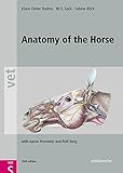 Anatomy of the Horse: with Aaron Horowitz and Rolf Berg